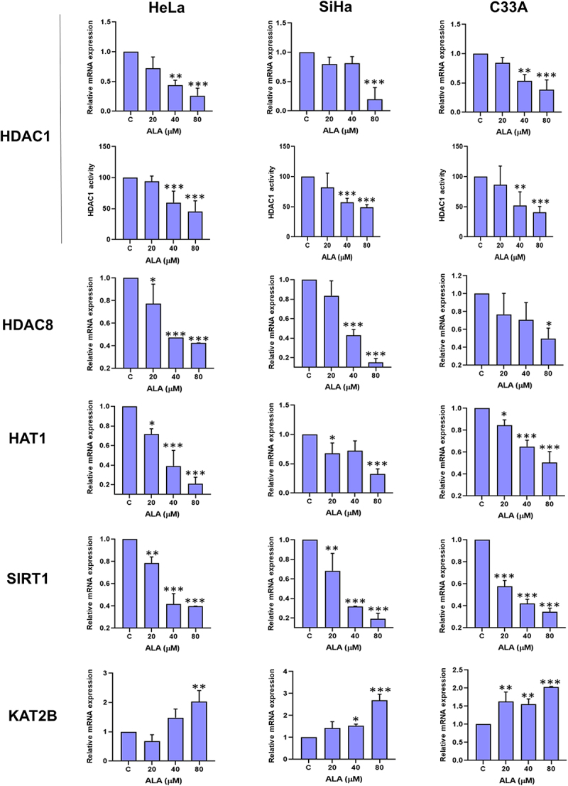 Alpha-linolenic acid-mediated epigenetic reprogramming of cervical cancer cell lines.