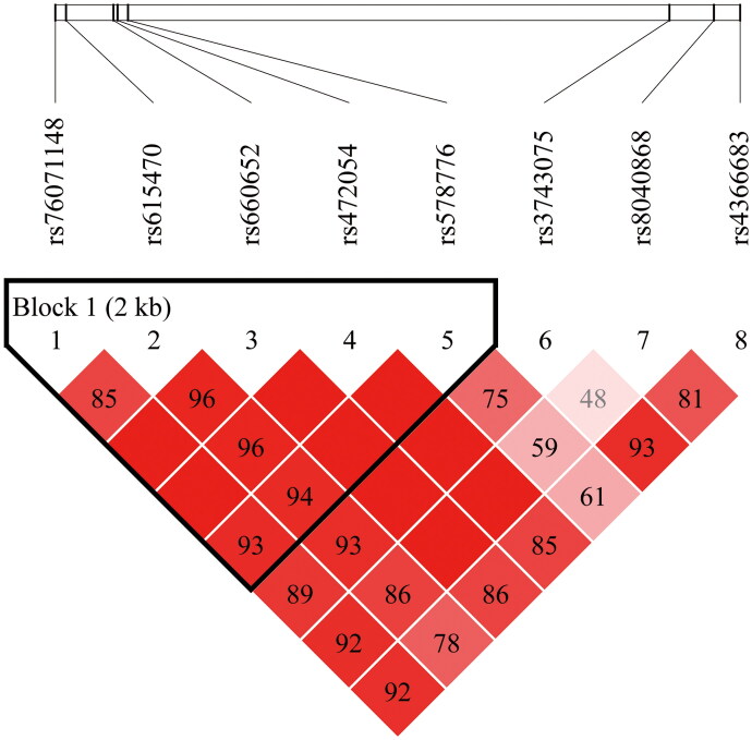 Investigating the role of eight SNPs in <i>CHRNA3</i> for COPD susceptibility in the Chinese elderly population.