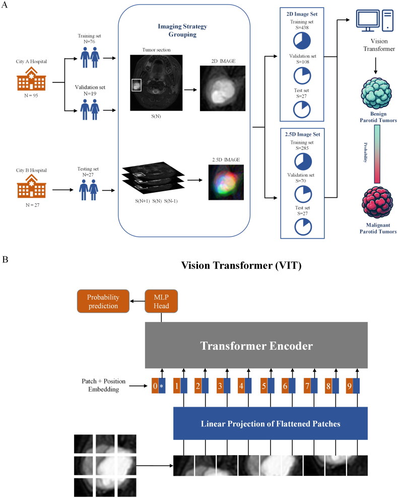 Deep learning for differential diagnosis of parotid tumors based on 2.5D magnetic resonance imaging.