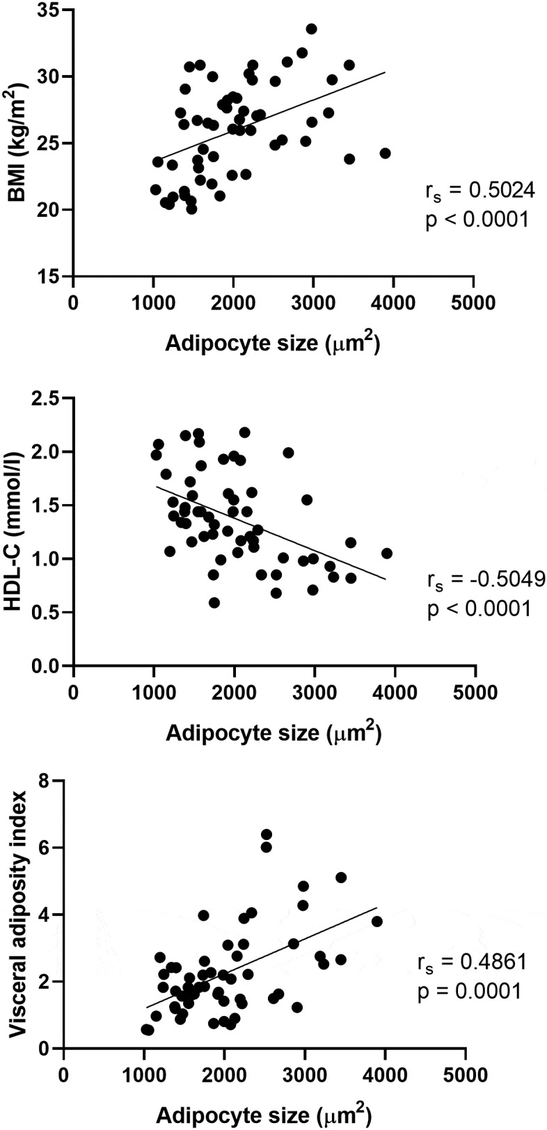 Perivascular adipocyte size is related to the lipid profile and inflammatory changes in a healthy population.