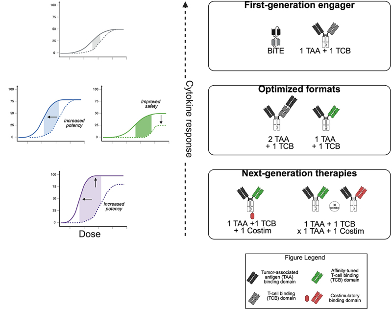 Innovative strategies for T cell engagers for cancer immunotherapy.