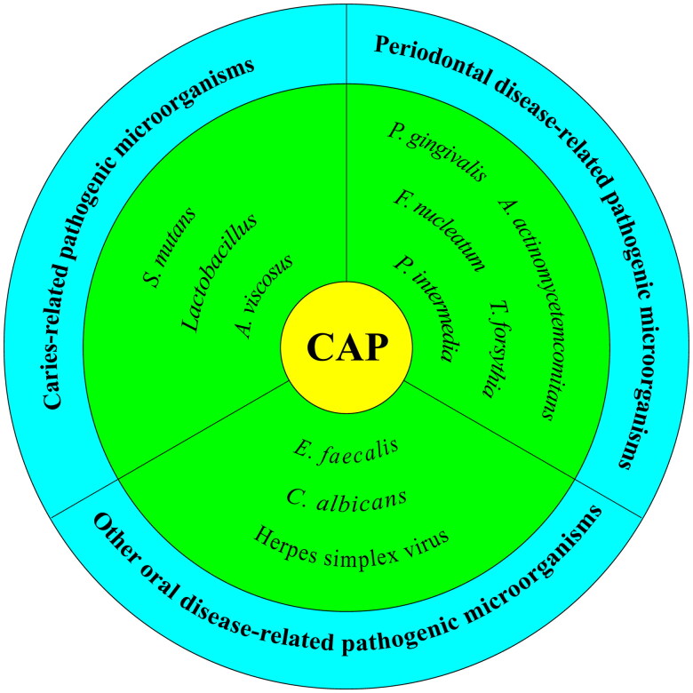Effect of cold atmospheric plasma on common oral pathogenic microorganisms: a narrative review.