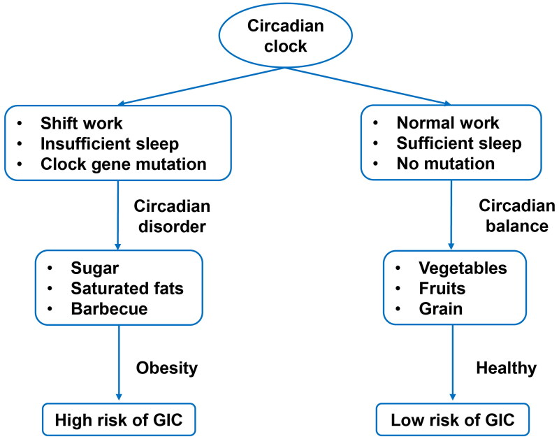Circadian rhythm in gastrointestinal cancer: clinical applications and future perspectives.