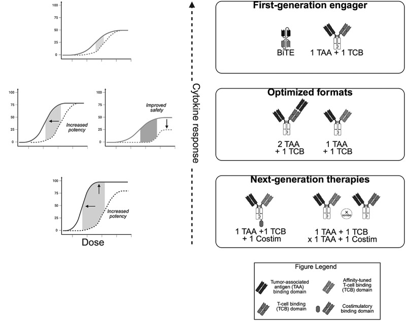 Innovative strategies for T cell engagers for cancer immunotherapy.