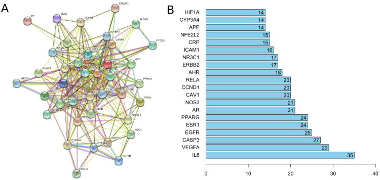 Network pharmacology-based strategy to investigate pharmacological mechanisms of polysaccharide-free <i>Lycium barbarum</i> extract for chronic kidney disease treatment and verification in an animal model.