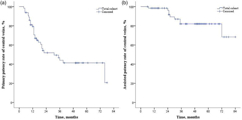 Long-term outcomes of refractory central venous occlusive disease treated by stent deployment in patients undergoing maintenance hemodialysis.