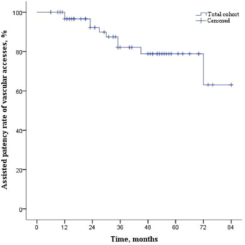 Long-term outcomes of refractory central venous occlusive disease treated by stent deployment in patients undergoing maintenance hemodialysis.