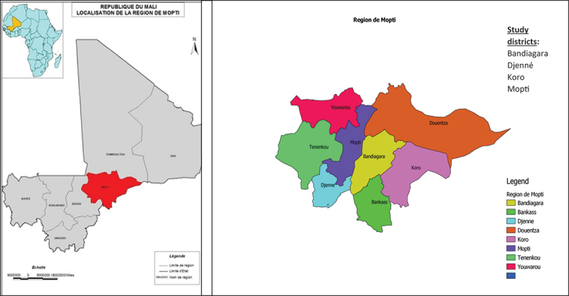 Irrational medicine use and its associated factors in conflict-affected areas in Mali: a cross-sectional study.