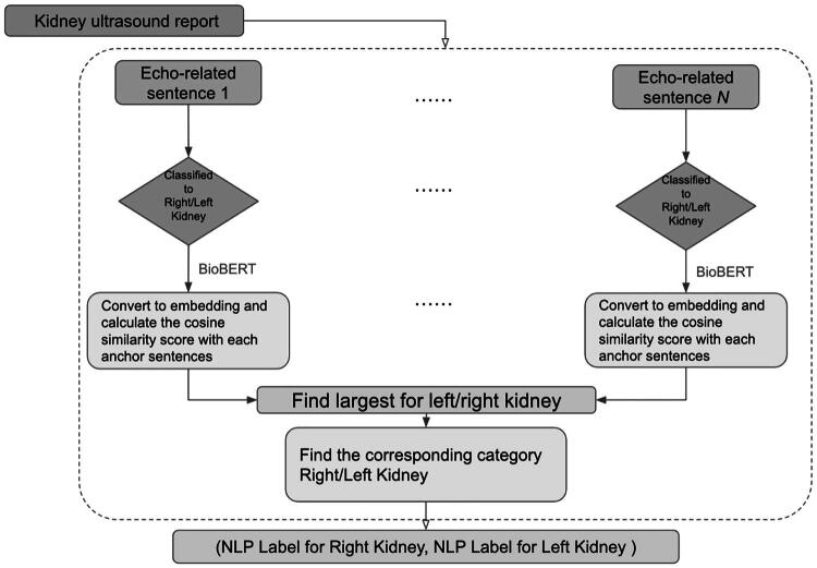 Natural language processing for kidney ultrasound analysis: correlating imaging reports with chronic kidney disease diagnosis.