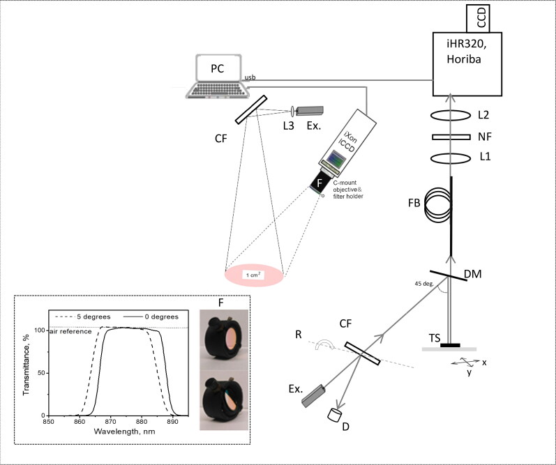 Raman spectral band imaging for the diagnostics and classification of canine and feline cutaneous tumors.