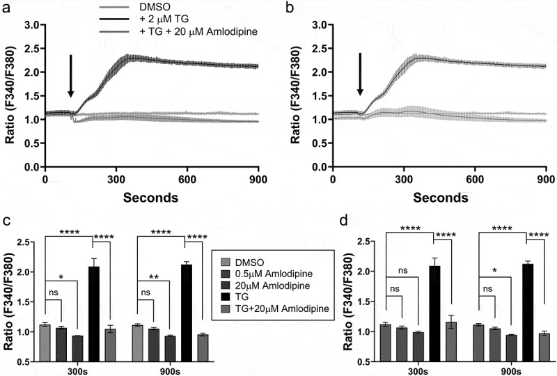 L-type calcium channel blockers at therapeutic concentrations are not linked to CRAC channels and heart failure.