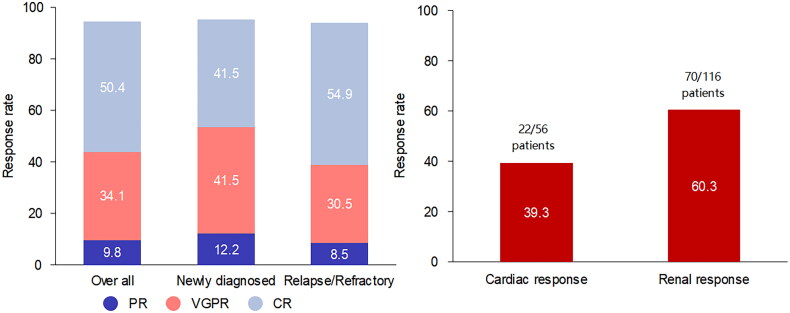 Serum free light chain level-based and non-fixed cycle daratumumab treatment strategy for patients with light chain amyloidosis.