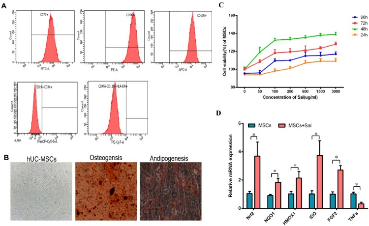 Mesenchymal stem cells enchanced by salidroside to inhibit ferroptosis and improve premature ovarian insufficiency via Keap1/Nrf2/GPX4 signaling.