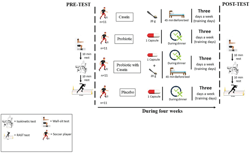 Pre-sleep casein ingestion with probiotic strains improves anaerobic power and lower-body-specific strength and power performance in soccer players.