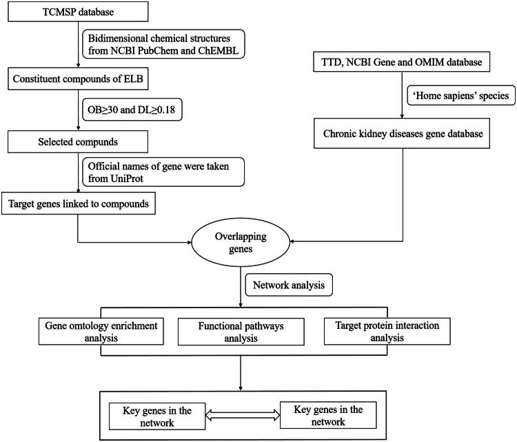 Network pharmacology-based strategy to investigate pharmacological mechanisms of polysaccharide-free <i>Lycium barbarum</i> extract for chronic kidney disease treatment and verification in an animal model.