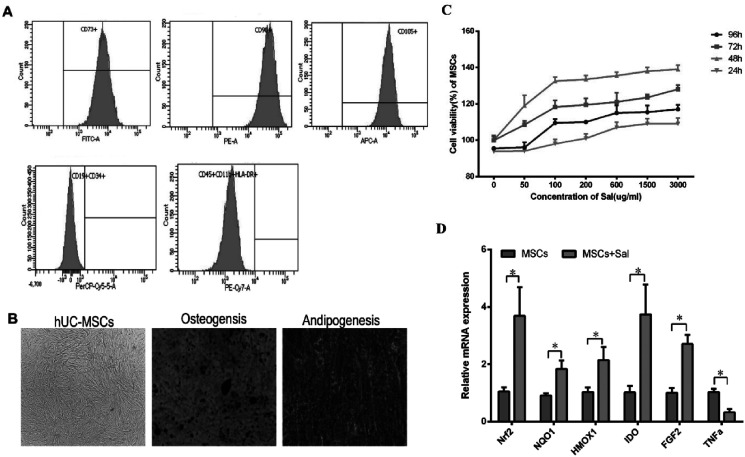 Mesenchymal stem cells enchanced by salidroside to inhibit ferroptosis and improve premature ovarian insufficiency via Keap1/Nrf2/GPX4 signaling.