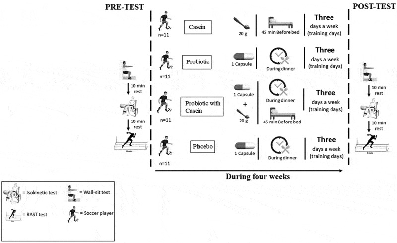 Pre-sleep casein ingestion with probiotic strains improves anaerobic power and lower-body-specific strength and power performance in soccer players.
