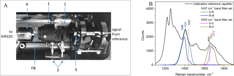 Raman spectral band imaging for the diagnostics and classification of canine and feline cutaneous tumors.
