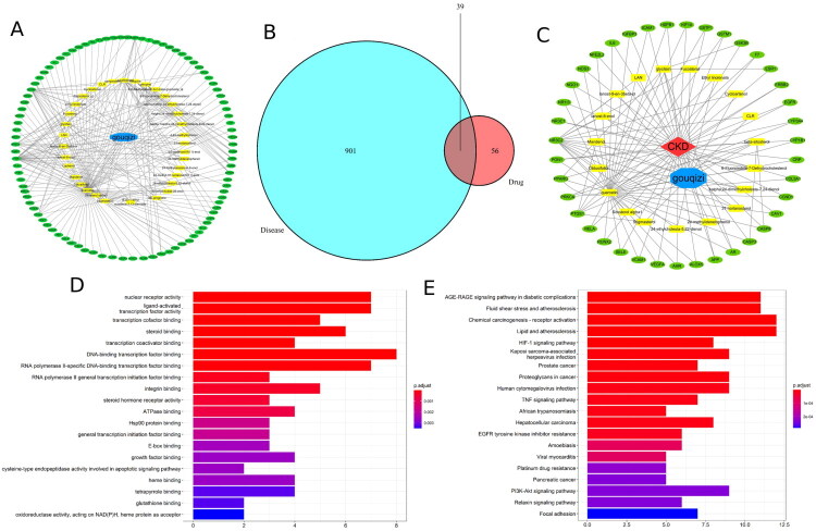 Network pharmacology-based strategy to investigate pharmacological mechanisms of polysaccharide-free <i>Lycium barbarum</i> extract for chronic kidney disease treatment and verification in an animal model.