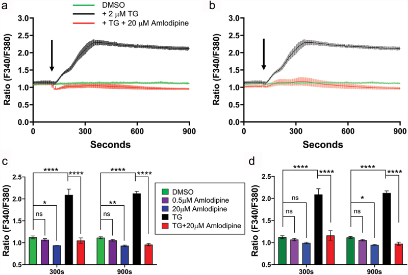 L-type calcium channel blockers at therapeutic concentrations are not linked to CRAC channels and heart failure.