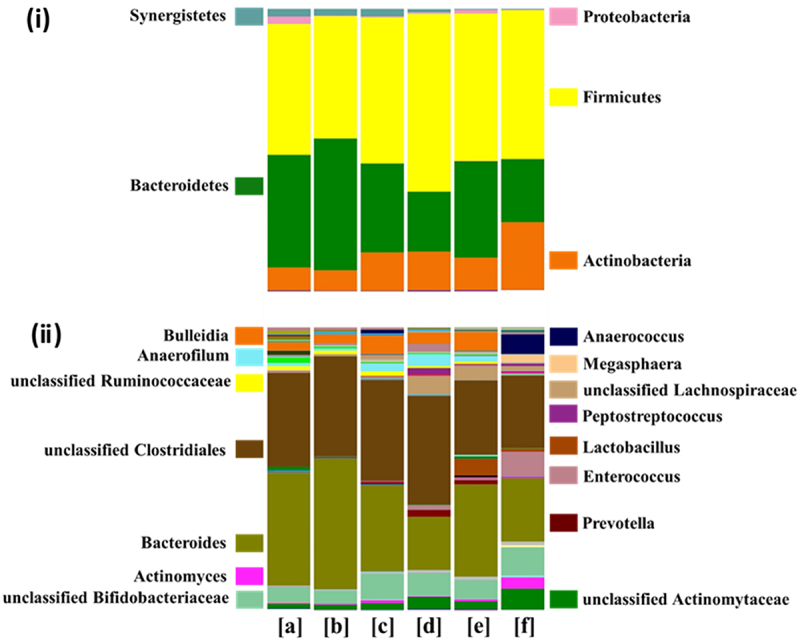Assessing the effect of temperature drop on a stable anaerobic fermentation for volatile fatty acids production.