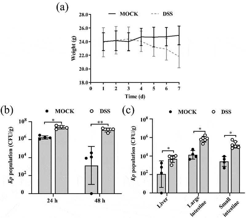 The molybdate transport protein ModA regulates nitrate reductase activity to increase the intestinal colonization and extraintestinal dissemination of <i>Klebsiella pneumoniae</i> in the inflamed gut.