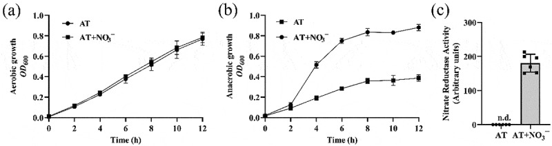 The molybdate transport protein ModA regulates nitrate reductase activity to increase the intestinal colonization and extraintestinal dissemination of <i>Klebsiella pneumoniae</i> in the inflamed gut.