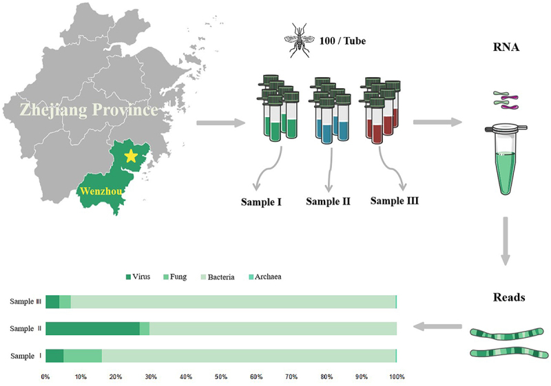 Emerging West African Genotype Chikungunya Virus in Mosquito Virome.