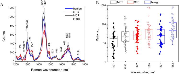 Raman spectral band imaging for the diagnostics and classification of canine and feline cutaneous tumors.
