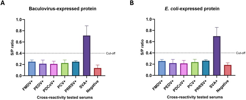 Development of a differentiating of infected from vaccinated animal (DIVA) ELISA to detect antibodies against Senecavirus A in pigs using two expression systems of non-structural proteins.