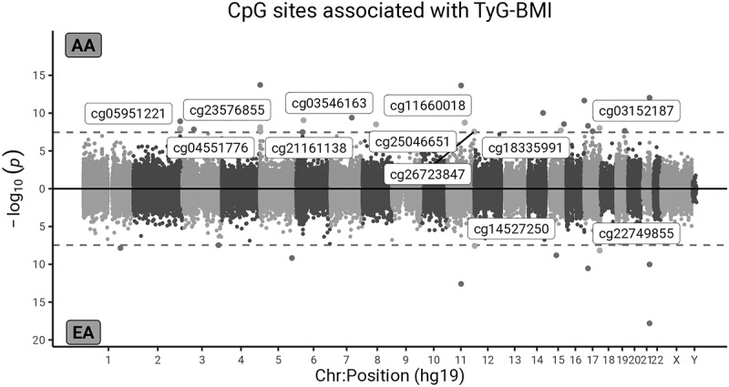 DNA methylation markers of insulin resistance surrogate measures in the Atherosclerosis Risk in Communities (ARIC) study.