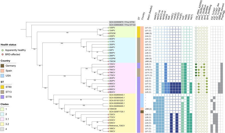 Integrative and conjugative elements associated with antimicrobial resistance in multidrug resistant <i>Pasteurella multocida</i> isolates from bovine respiratory disease (BRD)-affected animals in Spanish feedlots.