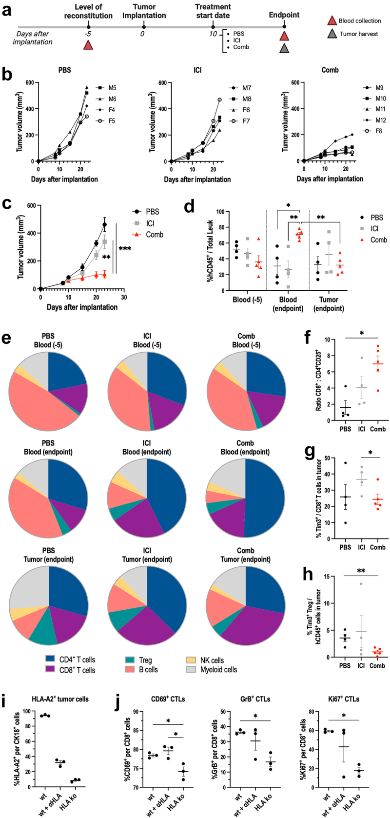 Humanized mouse models of <i>KRAS</i>-mutated colorectal and pancreatic cancers with HLA-class-I match for pre-clinical evaluation of cancer immunotherapies.