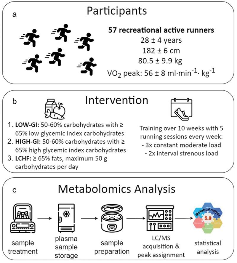 Exploring the non-targeted metabolomic landscape in endurance-trained runners following 10 weeks of different dietary patterns and concomitant training.