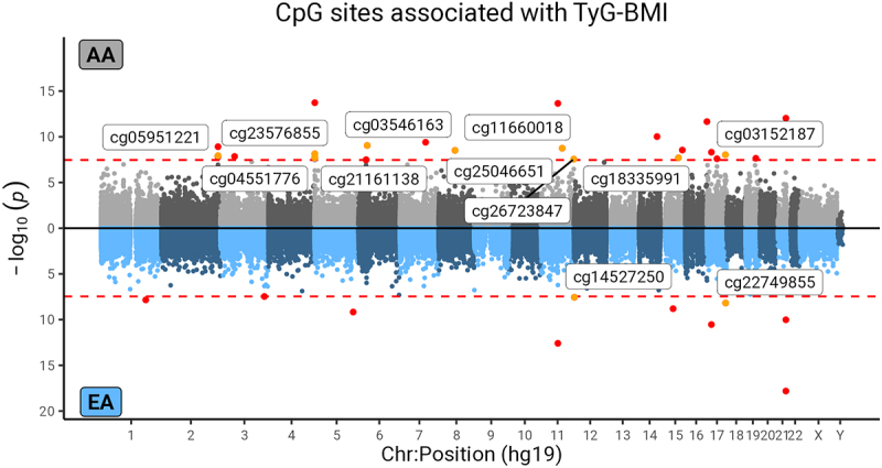 DNA methylation markers of insulin resistance surrogate measures in the Atherosclerosis Risk in Communities (ARIC) study.