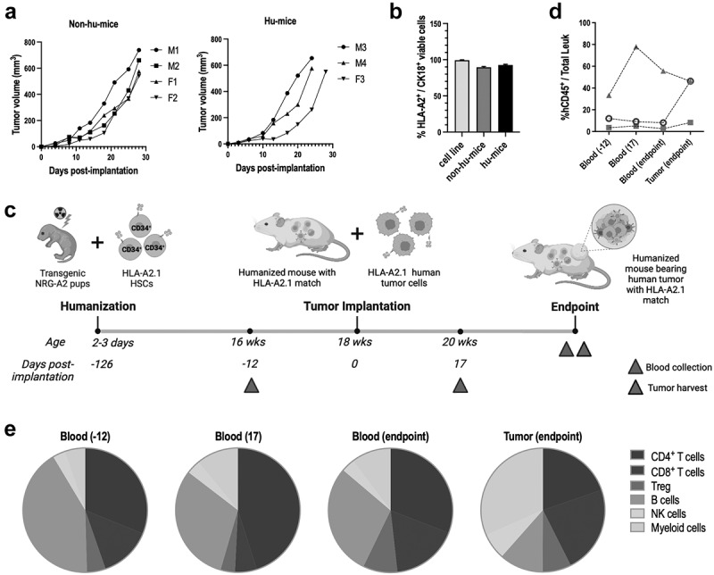 Humanized mouse models of <i>KRAS</i>-mutated colorectal and pancreatic cancers with HLA-class-I match for pre-clinical evaluation of cancer immunotherapies.