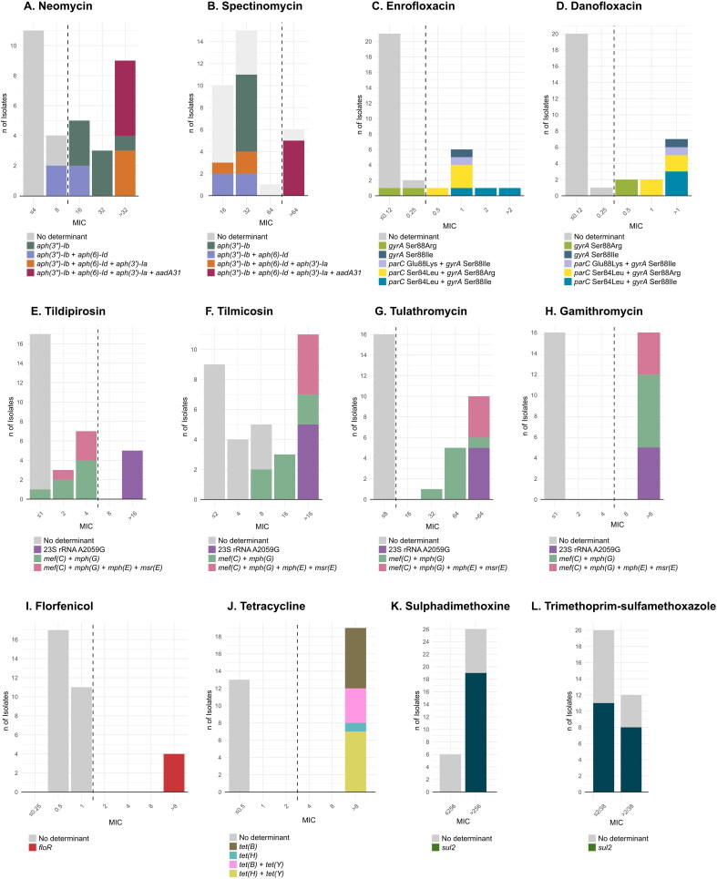 Integrative and conjugative elements associated with antimicrobial resistance in multidrug resistant <i>Pasteurella multocida</i> isolates from bovine respiratory disease (BRD)-affected animals in Spanish feedlots.