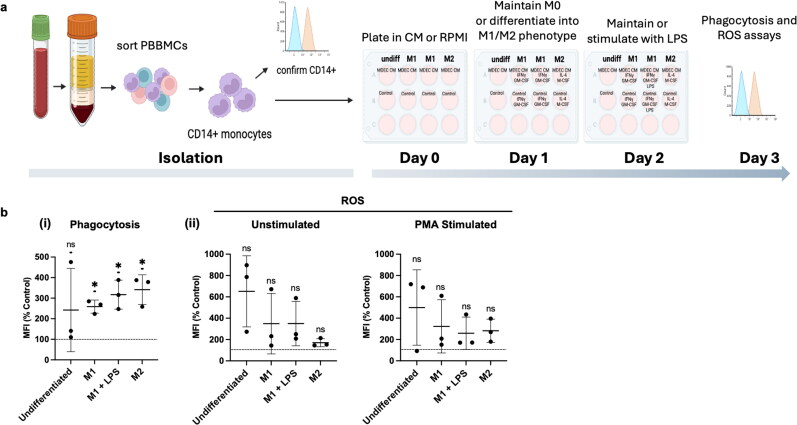 The secretomes of bovine mammary epithelial cell subpopulations differentially modulate macrophage function.