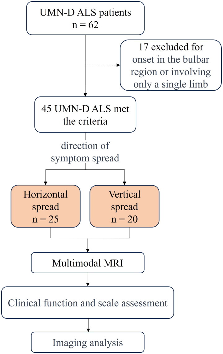 Unveiling structural damage of the corpus callosum in amyotrophic lateral sclerosis through diffusion tensor imaging and spread direction perspectives.