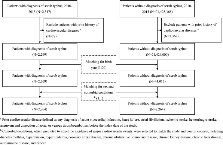 Beyond the infection: mapping the risk of cardiovascular events post-scrub typhus in a nationwide cohort study.