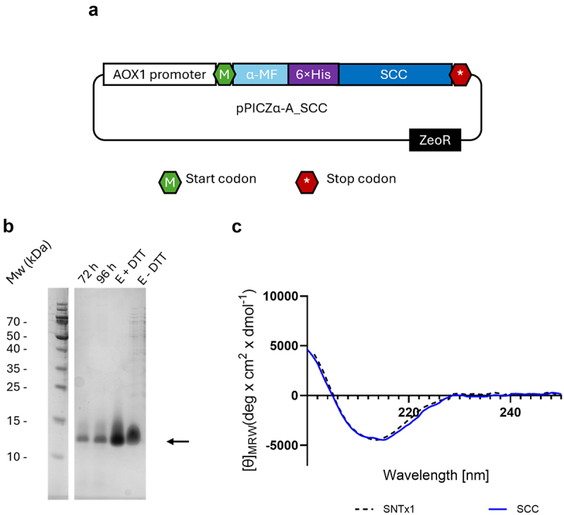 Discovery of broadly neutralizing V<sub>H</sub>Hs against short-chain α-neurotoxins using a consensus toxin as an antigen.