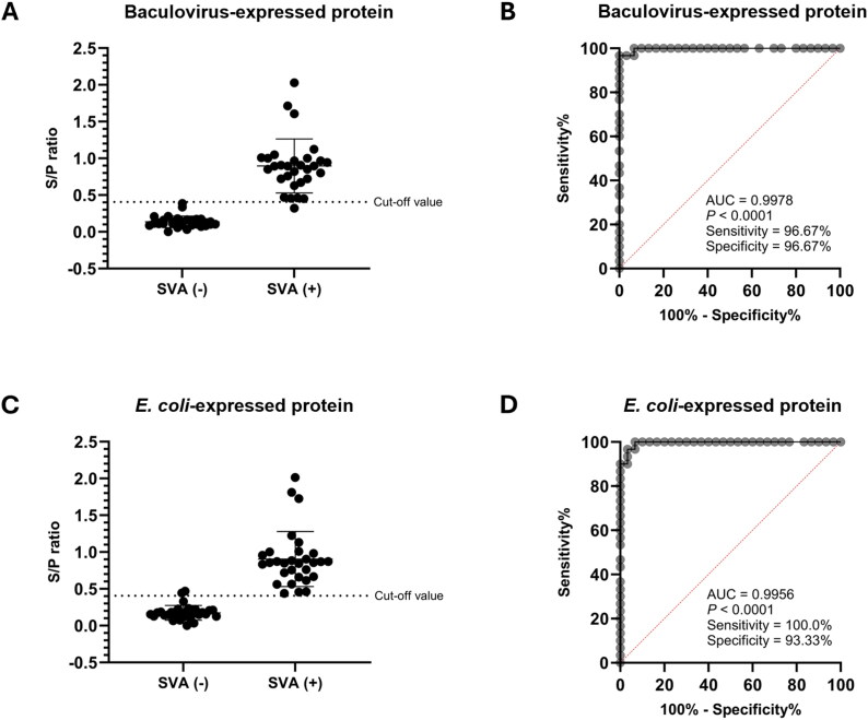 Development of a differentiating of infected from vaccinated animal (DIVA) ELISA to detect antibodies against Senecavirus A in pigs using two expression systems of non-structural proteins.