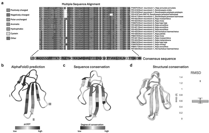 Discovery of broadly neutralizing V<sub>H</sub>Hs against short-chain α-neurotoxins using a consensus toxin as an antigen.