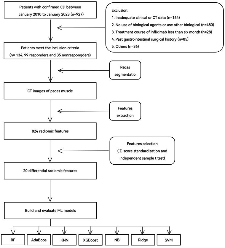 Psoas muscle CT radiomics-based machine learning models to predict response to infliximab in patients with Crohn's disease.