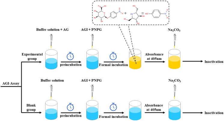Liquidambaric acid as a non-competitive α-glucosidase inhibitor: multi-level evidence from enzyme kinetics, molecular docking, molecular dynamics simulations, and a <i>Drosophila</i> hyperglycaemic model.
