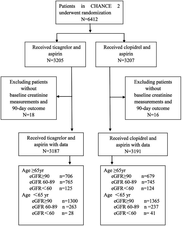 Ticagrelor versus clopidogrel in <i>CYP2C19</i> loss-of-function carriers with stroke or TIA stratified by age and renal function: CHANCE-2 trial substudy.