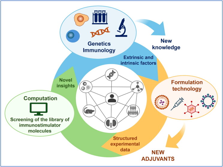 Advances in vaccine adjuvant development and future perspectives.