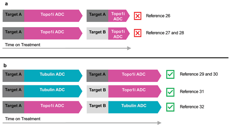 Homogeneous antibody-drug conjugates with dual payloads: potential, methods and considerations.