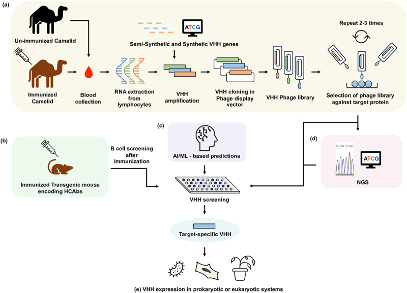 Nanoscale warriors against viral invaders: a comprehensive review of Nanobodies as potential antiviral therapeutics.
