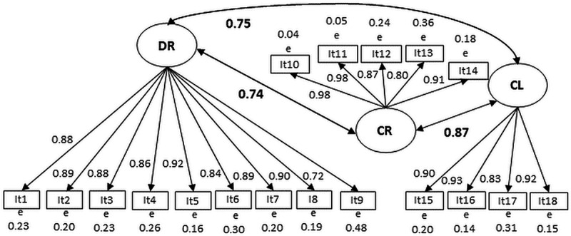 Psychometric analysis of the Slovak version of the satisfaction with simulation experience scale (measurement invariance).